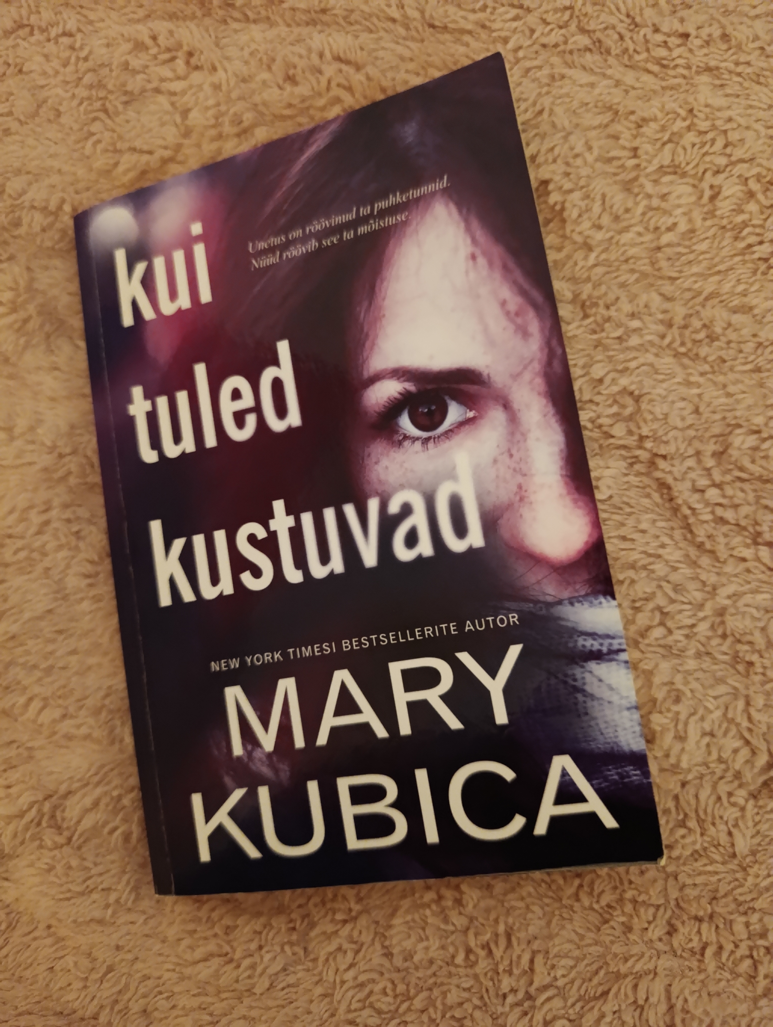 Kui tuled kustuvad book cover